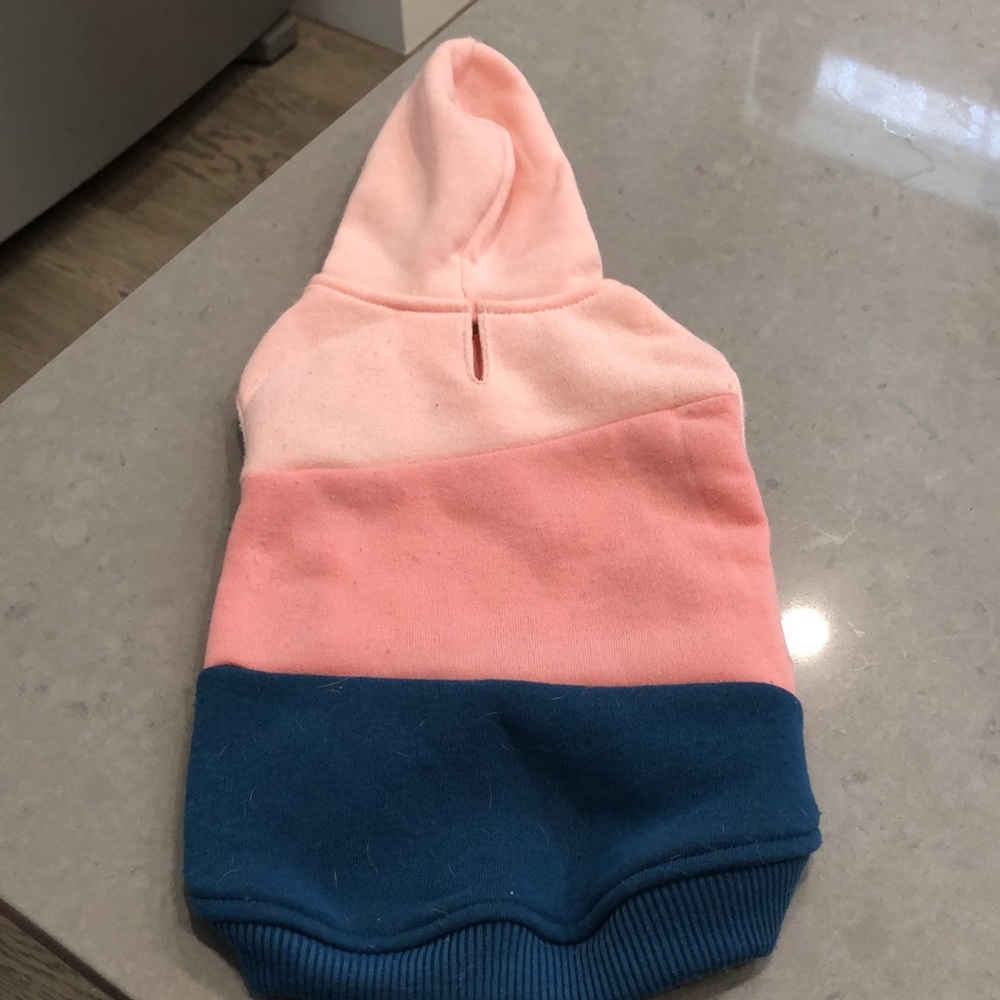 Frisco Dog Hoodie